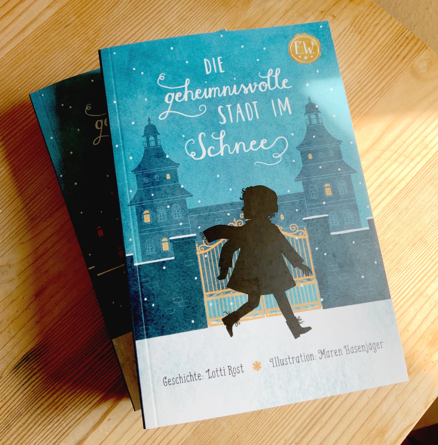 Die geheimnisvolle Stadt im Schnee // Novel