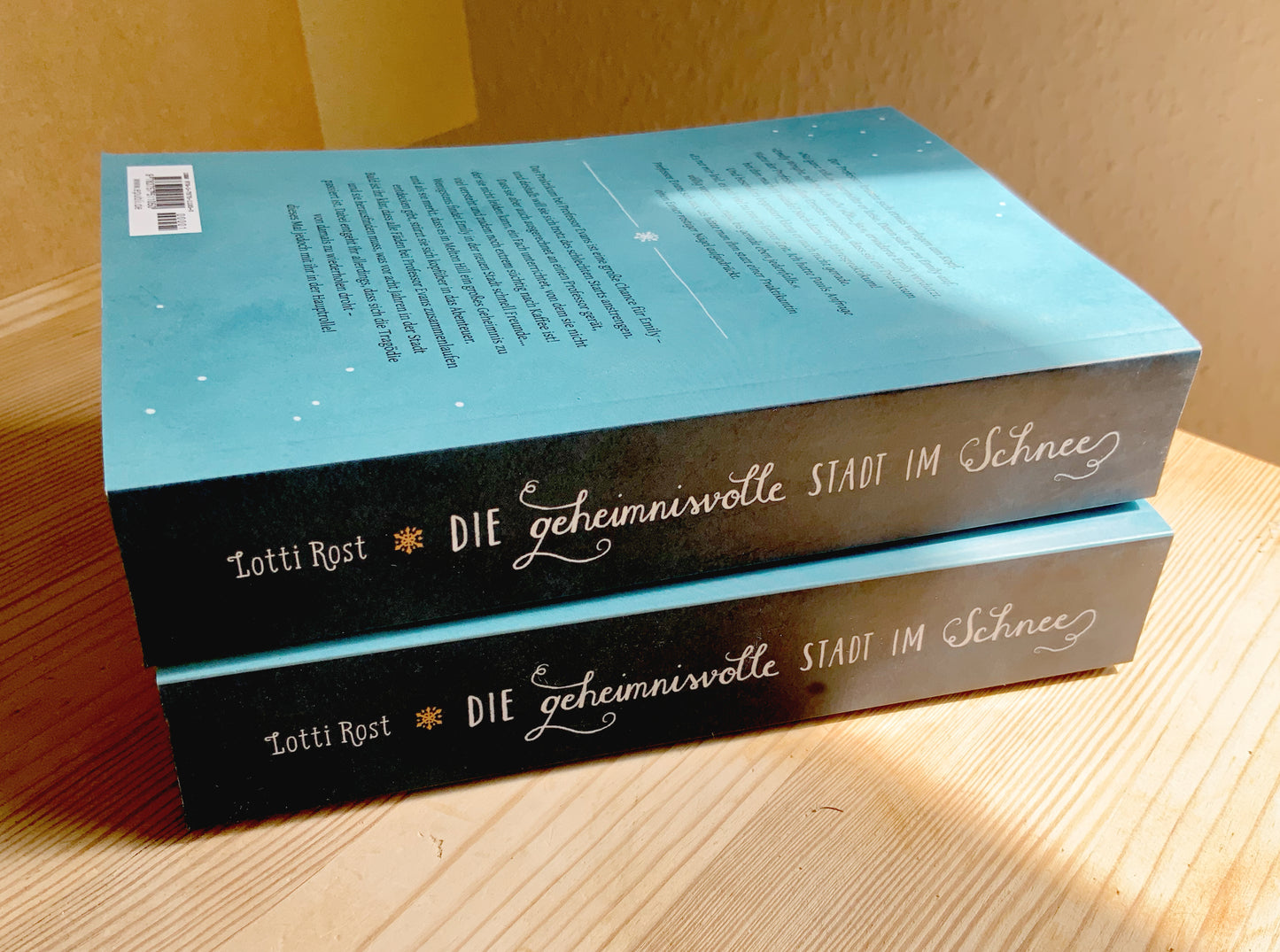 Die geheimnisvolle Stadt im Schnee // Novel