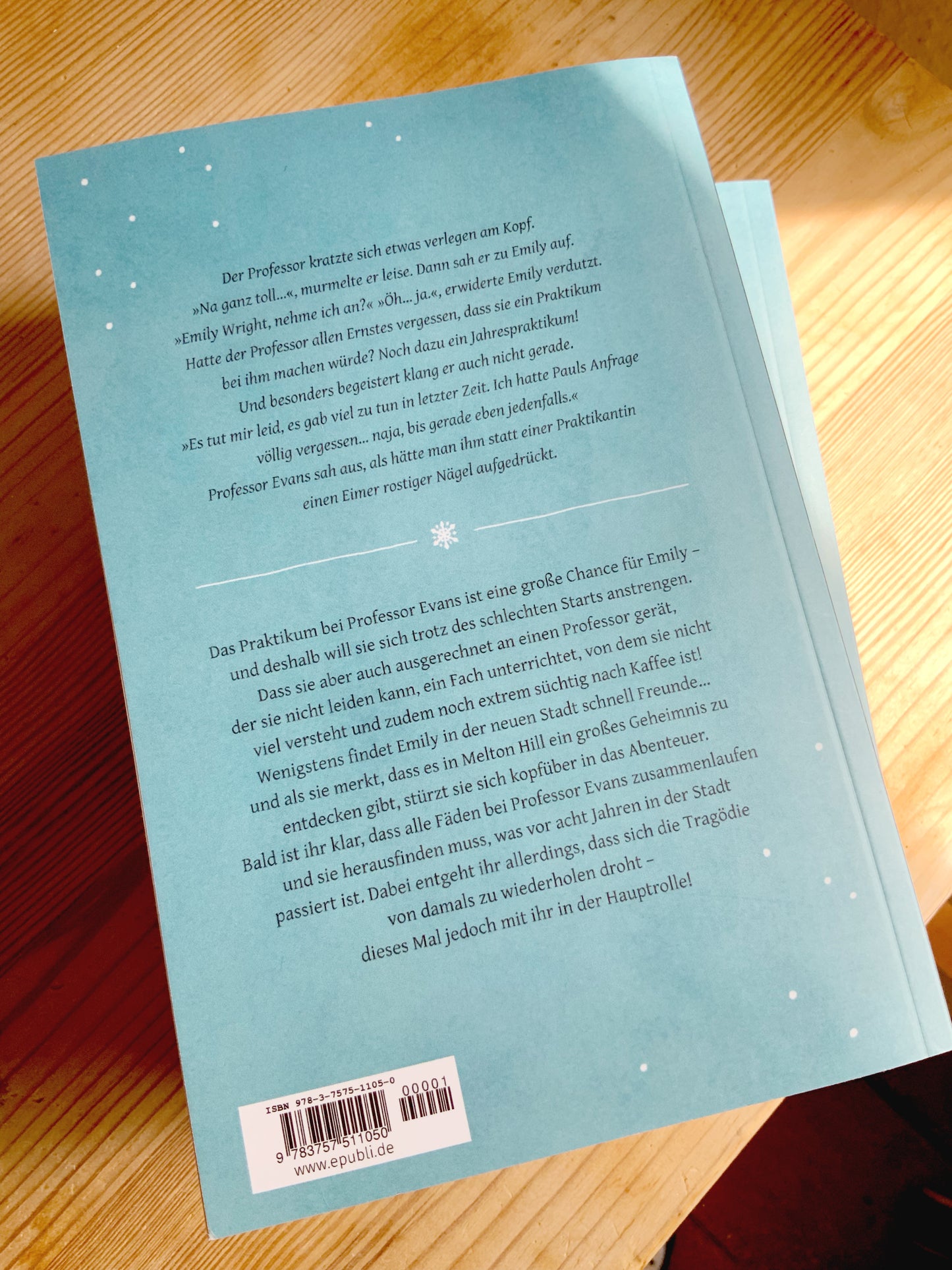 Die geheimnisvolle Stadt im Schnee // Novel